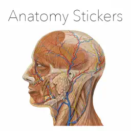 Anatomy Stickers