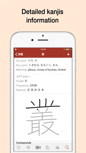 Yomiwa - 多语言日语词典与光学字符识别 (OCR)截图7