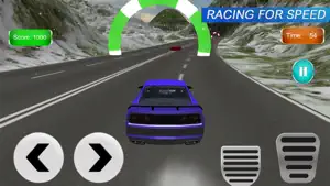 Furious Racing: Driving Master截图1