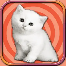 可爱的小猫运行 - 宠物模拟游戏2017年